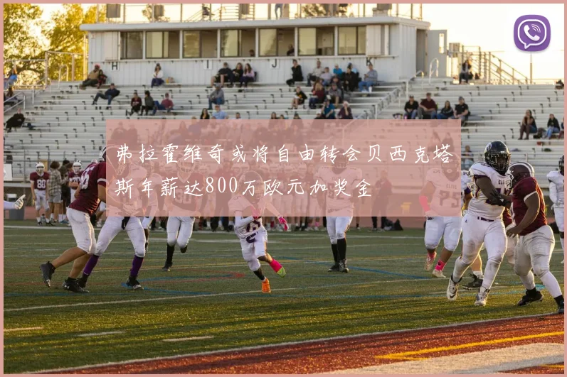弗拉霍维奇或将自由转会贝西克塔斯年薪达800万欧元加奖金